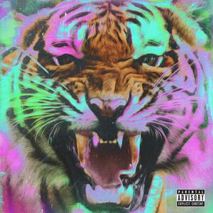 Tigre (Explicit)