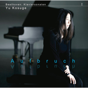 ピアノ・ソナタ第1番ヘ短調 作品2-1 第１楽章 アレグロ (Piano Sonata No.1 in F minor, Op.2-1 I. Allegro|ピアノソナタダイイチバンヘタンチョウダイイチガクショウ)
