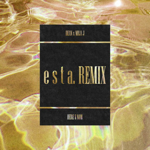 Here & Now (ESTA. Remix)