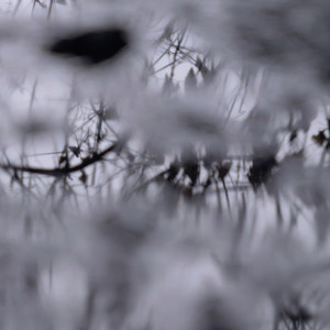 Lacrimosa - for Sarajevo