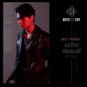 ขอโทษที่ยังร้องไห้ (Missing) / Boys Don't Cry