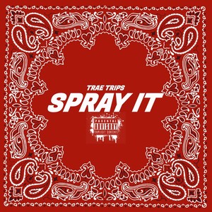 Spray It (Explicit)