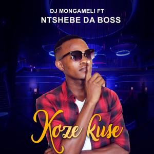 Koze Kuse (feat. Ntshebe)