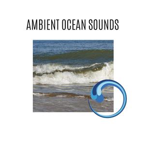 Ambient Ocean Sounds