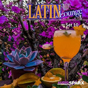 Latin Lounge, Set 10