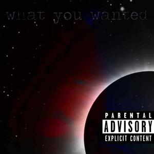 What You Wanted (Explicit)