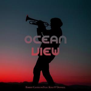 Ocean View (feat. Kyle O'Donnell)