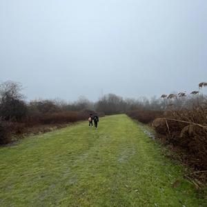 Where You Stay ? (Explicit)