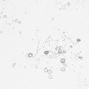 For Ragnar (feat. Lucie Graehl & Gabriel Rosenbach)