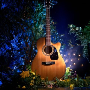 Soothing Night Guitar Tunes