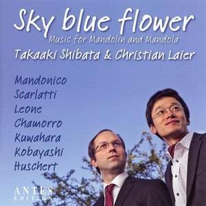 Sky Blue Flower