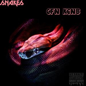 Snakes (Explicit)