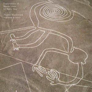 why not dot(feat. Barry Guy)