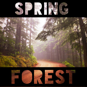 Spring Forest - Nature Sounds, Deep Relaxation, Healing Therapy Music