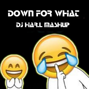 Lil Jon - Down For What (Mashup Edit) (DJ Har.L 孙宁 remix)
