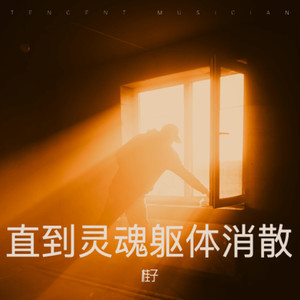 直到灵魂躯体消散 (Live)