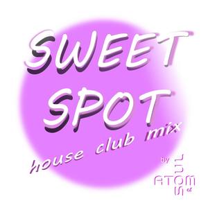 Sweet Spot (House Club Mix)