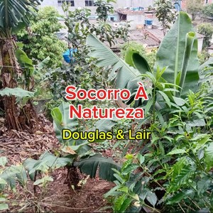 Socorro À Natureza - Douglas & Lair (Remastered 2025)
