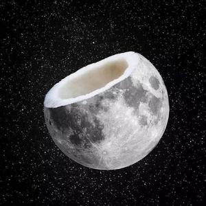 陈鸿宇- [FREE] 少年 (Albert Remix)