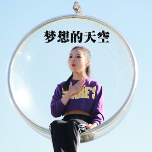 梦想的天空封面