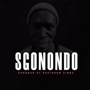 Sgonondo