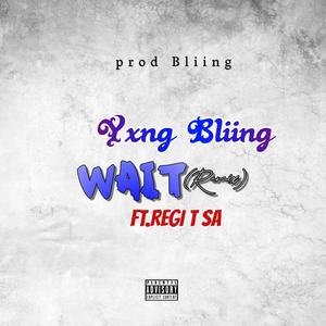 Wait (feat. Regi T SA) (Remix|Explicit)