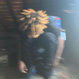 free$tyle 2 (Explicit)