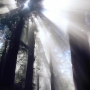 ja ich weiß (feat. Bacc)