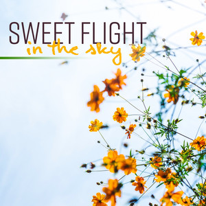 Sweet Flight in the Sky