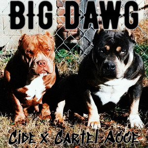 Big Dawg (Explicit)