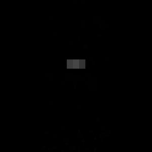 W.D.C (Sunday School Edition) (Explicit)