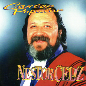 Néstor Celiz - Volver en Guitarra