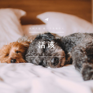 鱼 (DJ版)