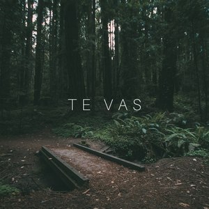 Te Vas