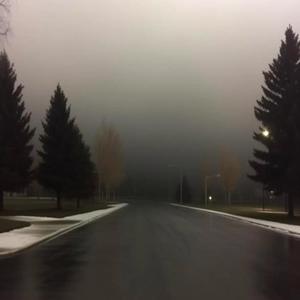 In My Dreams Last Night. (Explicit)