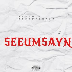 Seeumsayn (feat. Bumpdadraco) (Explicit)