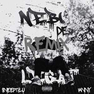 Nebun de Legat Remix (feat. Sneeptzu & Ianny) (Explicit)