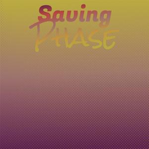 Saving Phase