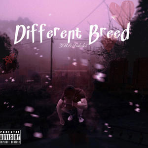 Diffrent Breed (Explicit)