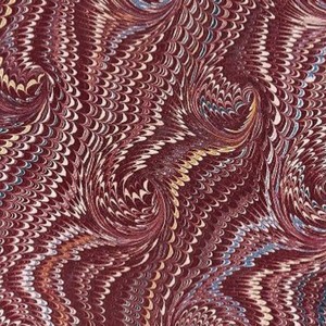 Journey of the Woodlouse