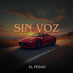 SIN VOZ