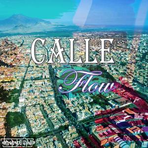 Calle Flow (Explicit)