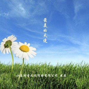 最美的天使 (交响乐版)