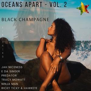 Black Champagne - No Time to Stop It(feat. Ricky Ticky & Hawkeye)