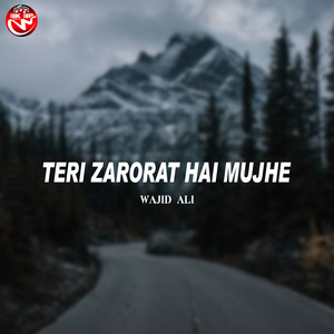 Teri Zarorat Hai Mujhe