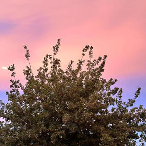 Haat Samati (Sped Up)