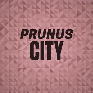 Prunus City