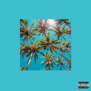 wave (feat. The Bars Brothers) (Explicit)