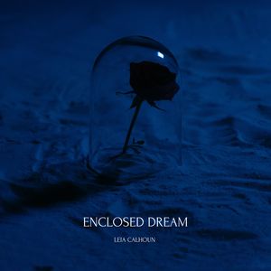 Enclosed Dream