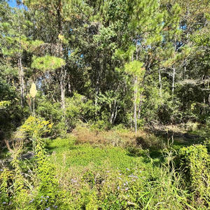 go on now (feat. blingbenzy) (Explicit)